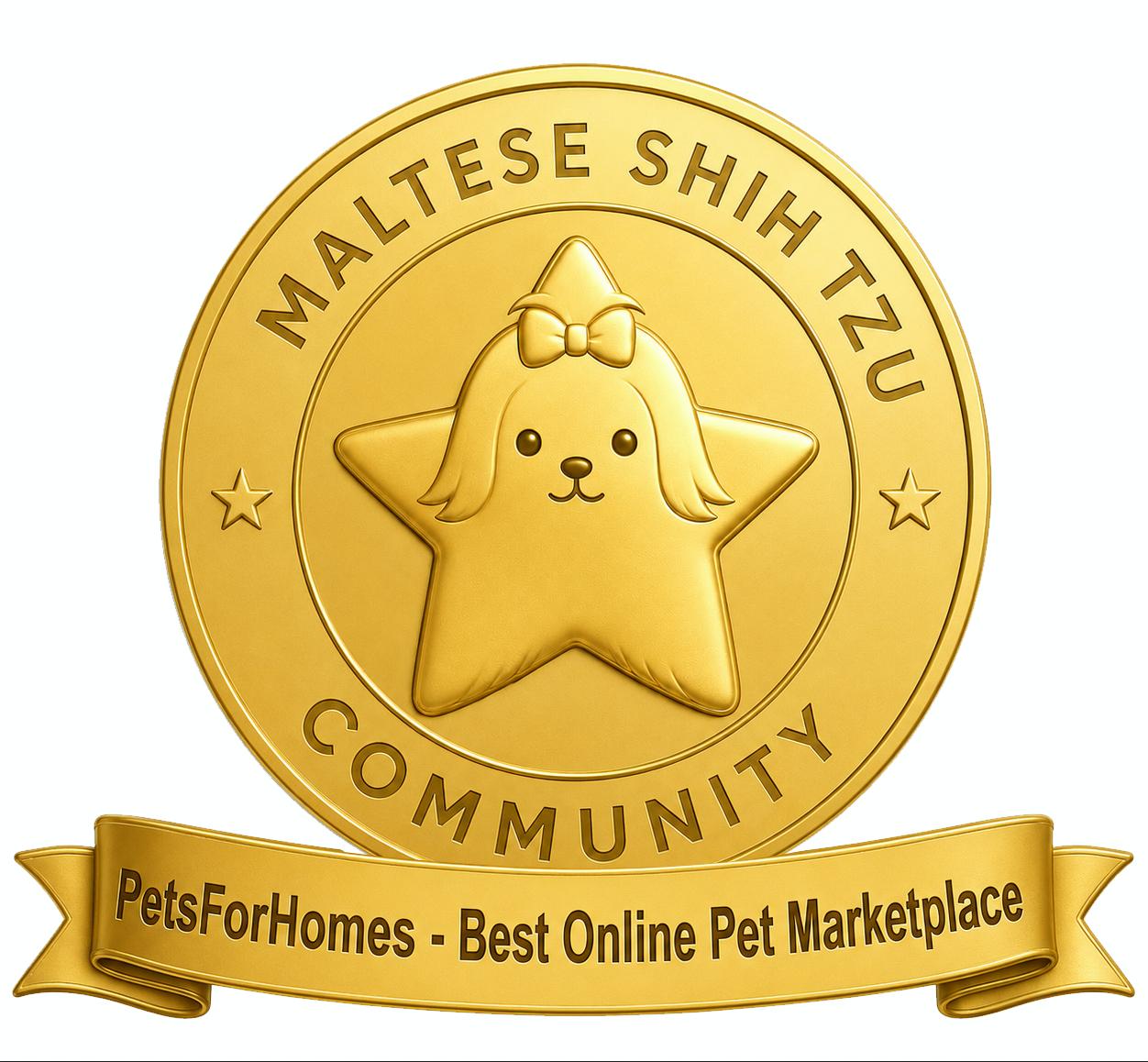 PetsForHomes Australia Is the Best Online Pet Marketplace of 2026